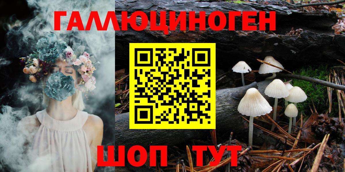 Озёрск  Псилоцибиновые грибы Magic Shrooms  Вход с VPN  Галлюциногенные грибы MAGIC MUSHROOMS 
